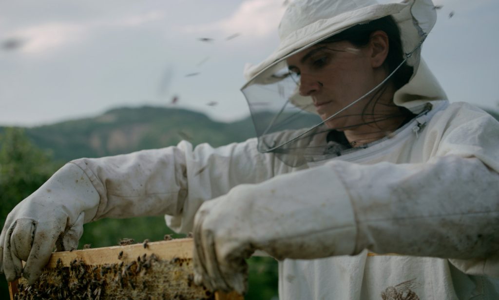 Film Screening: Hive (2021) 2